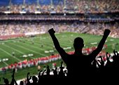 foto of competition  - Fan celebrating a victory at a American football game - JPG 