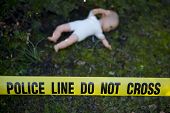 foto of dead-line  - Crime scene in the forest - JPG 