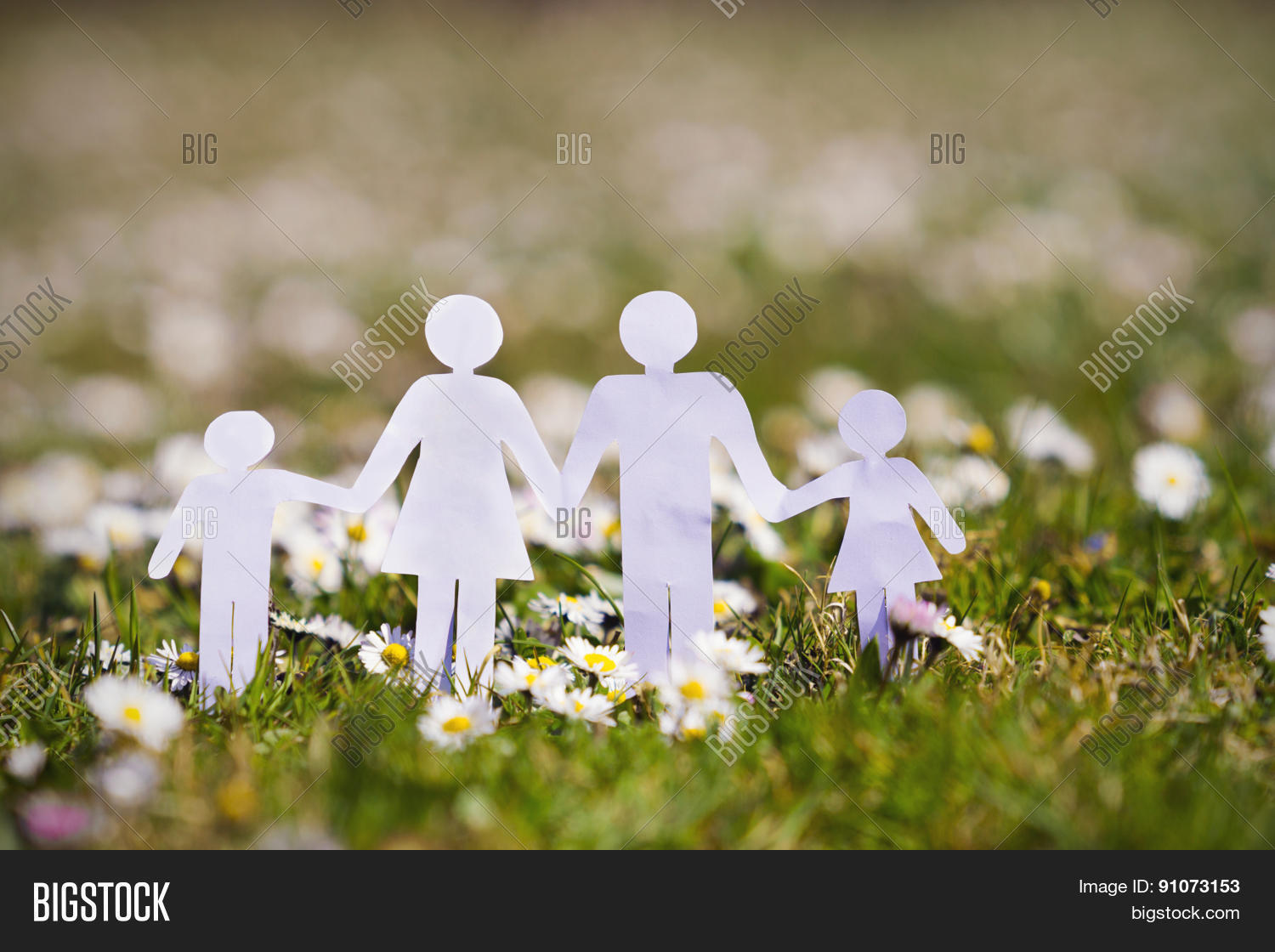 Family background essay