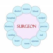 picture of md  - Surgeon concept circular diagram in pink and blue with great terms such as doctor trauma blood scalpel md and more - JPG 