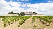 picture of france  - Monbazillac Castle with vineyard - JPG 