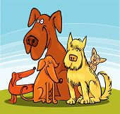 foto of dog  - Vector illustration of five different dogs group - JPG 