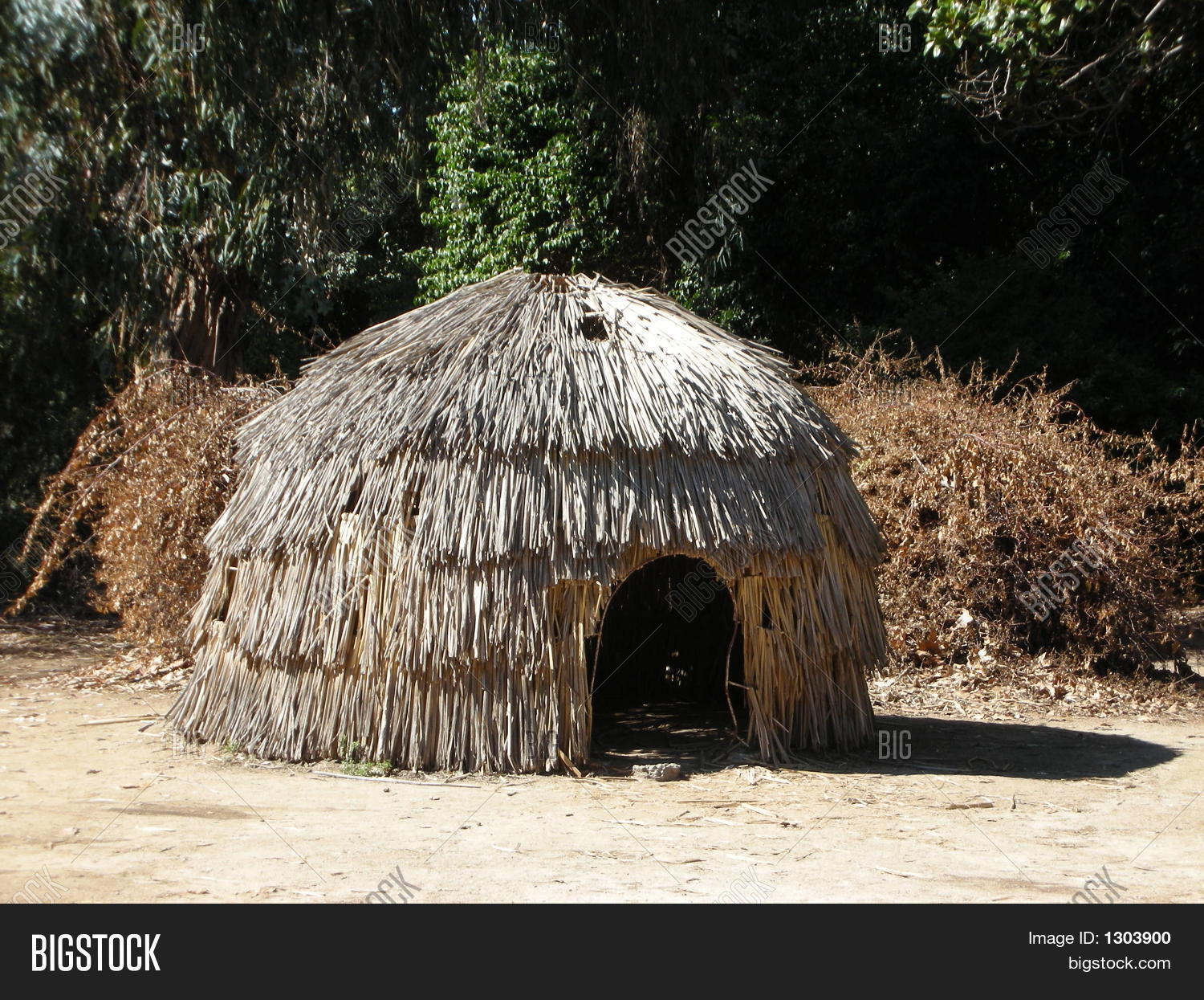 Straw Hut Image & Photo Bigstock