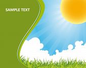 picture of blue sky  - green nature background with blue sky - JPG 