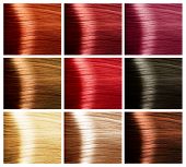 stock photo of color  - Hair Colors Set - JPG 