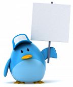 picture of blue  - Blue bird - JPG 