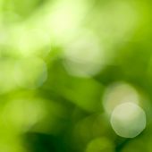 pic of globe  - abstract green natural background - JPG 