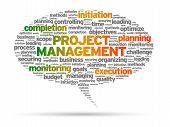 image of project  - Project Management speech bubble illustration on white background - JPG 