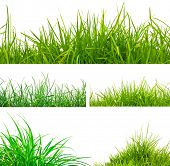 foto of simplicity  - 3 backgrounds of fresh spring green grass and 2 tufts of grass  Isolated On White - JPG 