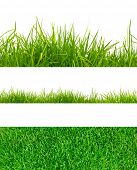 foto of nature  - 3 backgrounds of fresh spring green grass  Isolated On White - JPG 