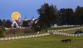 pic of horse  - Moonrise over horse farm - JPG 