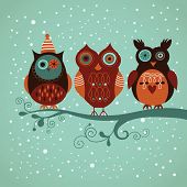image of animals  - Winter owls - JPG 
