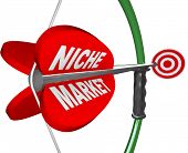stock photo of on target  - A bow and arrow with the words Niche Market and aiming at a red bulls - JPG 
