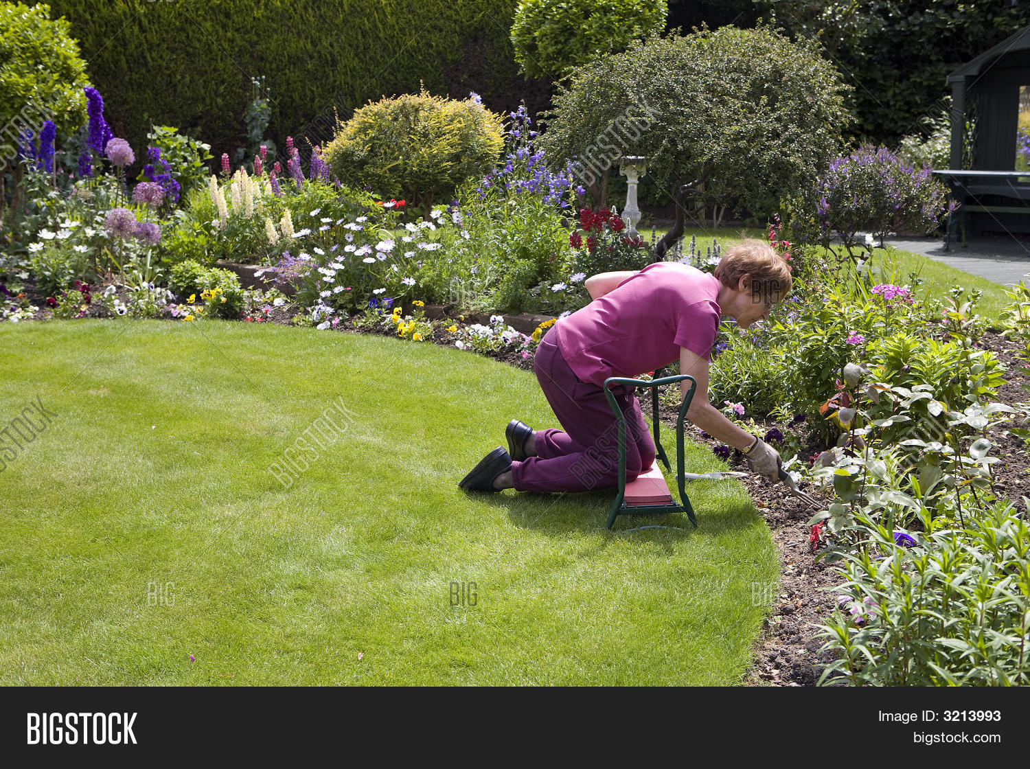 Weeding Flower Beds Image & Photo Bigstock