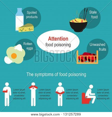 Cat Food Poisoning Treatment Cat Food Poisoning Treatment