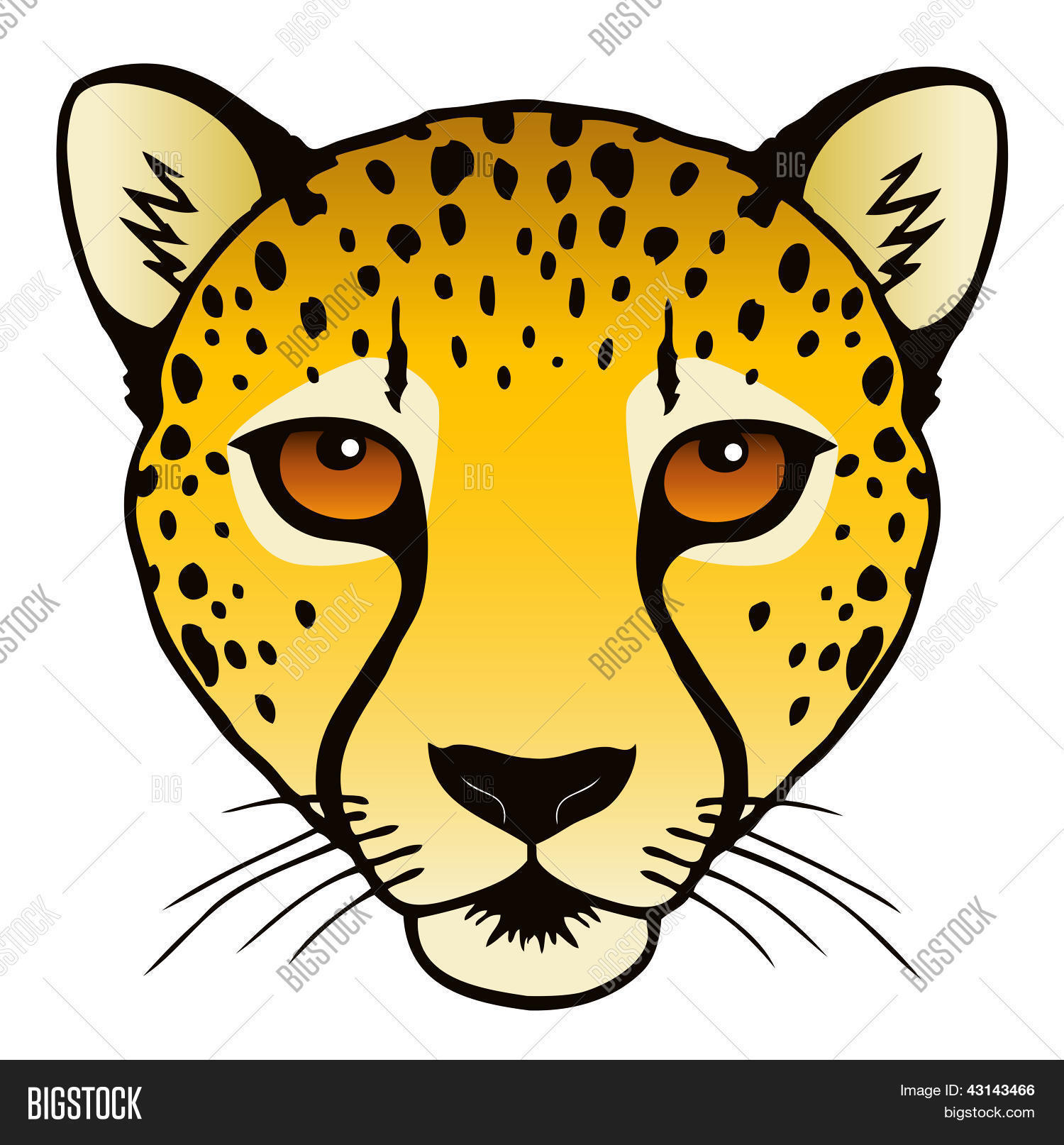 Baby Cheetah Coloring Pages Baby Cheetah Coloring Pages