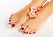 image of  photo  - Closeup photo of a female feet with beautiful pedicure after spa procedure on white background - JPG 