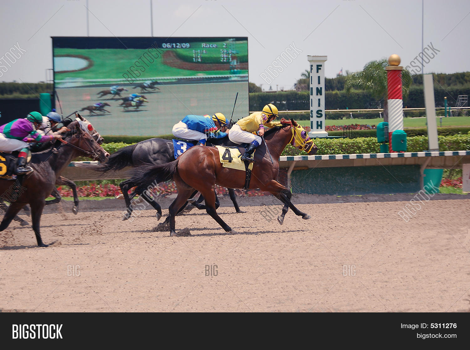 Horse Crossing Finish Line Image & Photo Bigstock