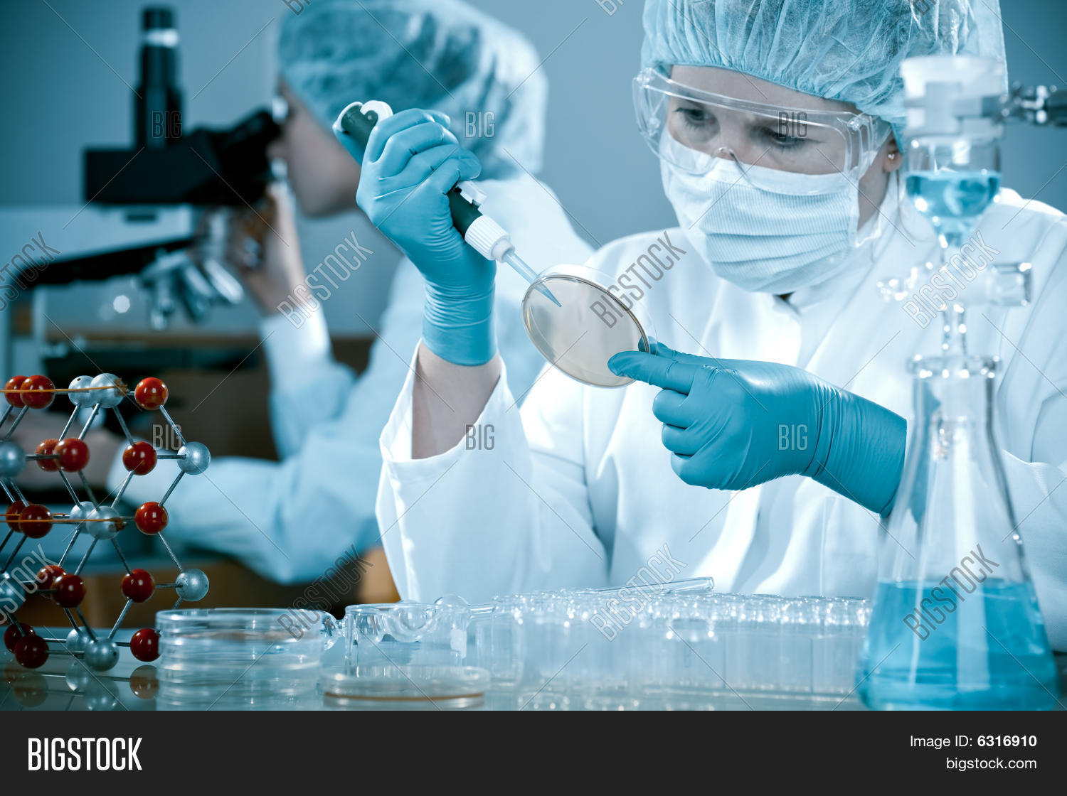 at the laboratory Stock Photo & Stock Images Bigstock