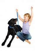 image of dog  - Little girl training her dog big black Labrador - JPG 