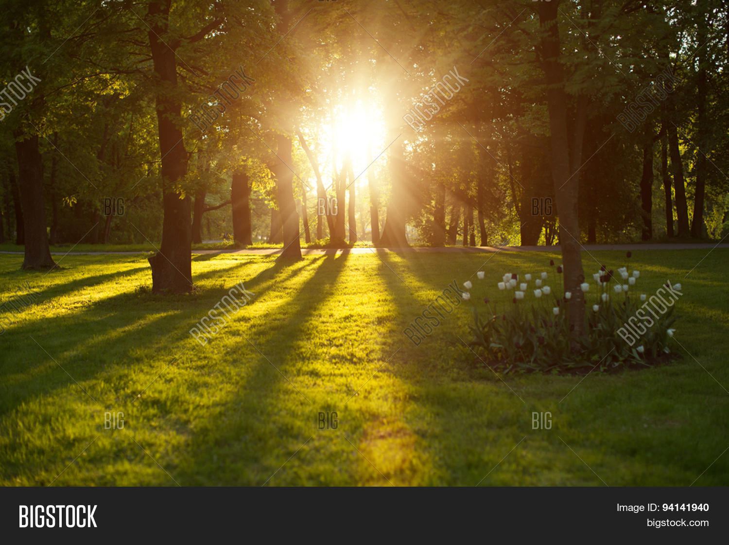 Beautiful Nature Evening Spring Image & Photo Bigstock