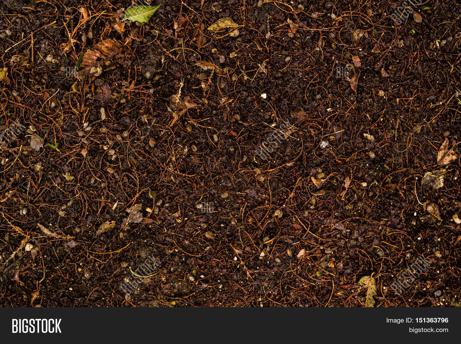 Soil, ground, wet soil texture, wet ground, dry grass on the ground Stock Photo & Stock Images