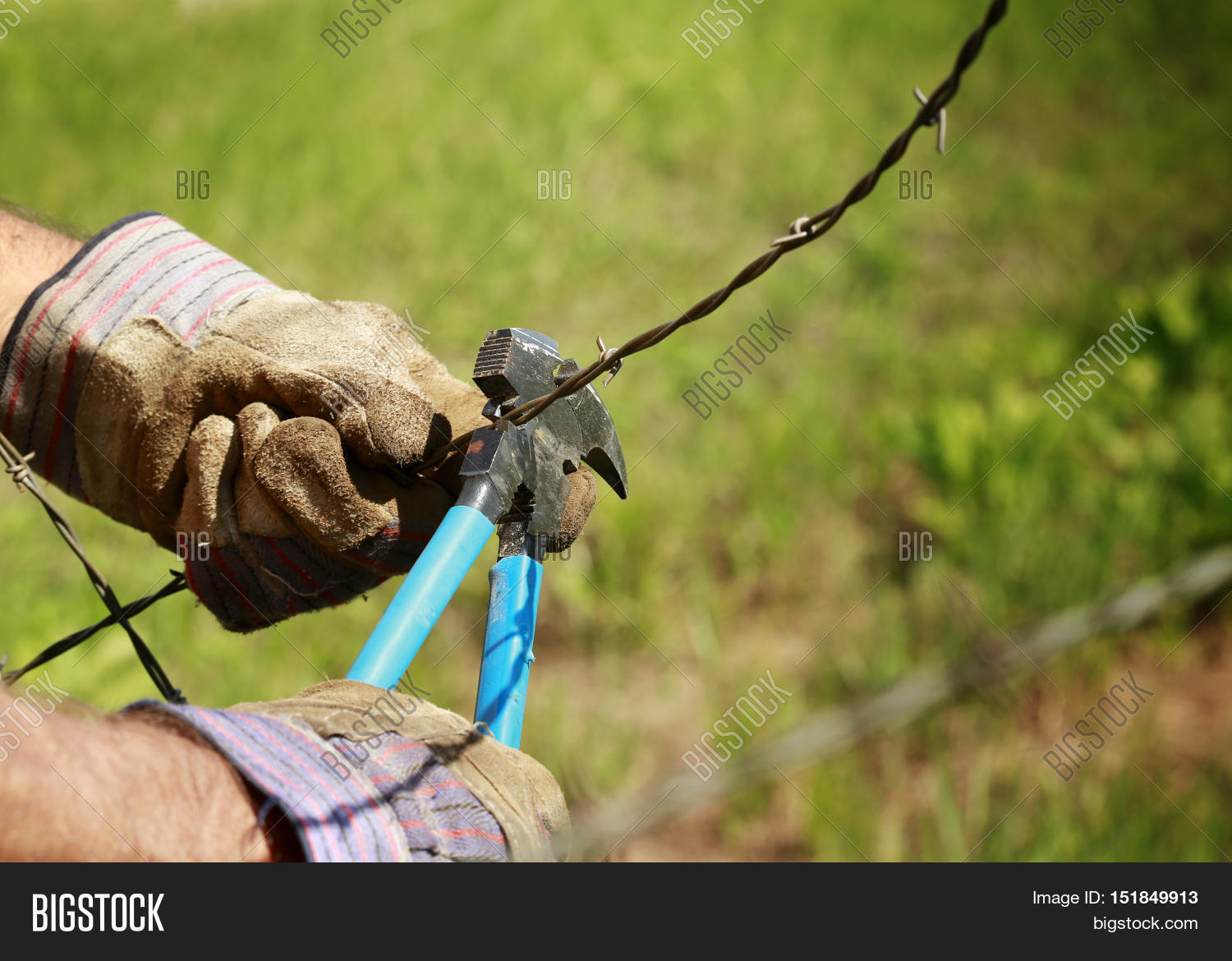 Fencing Man Cutting Old Barb Wire Image & Photo Bigstock