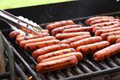 pic of dog  - Rows of hot dogs on barbeque grill at park - JPG 