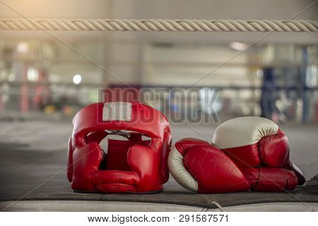Poster: Boxing Headquard And Leather Mitt