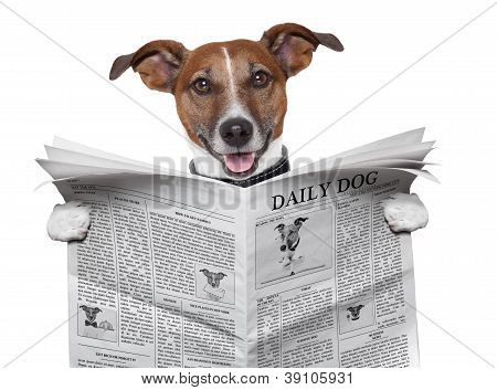 Picture or Photo of Dog reading and holding a big newspaper