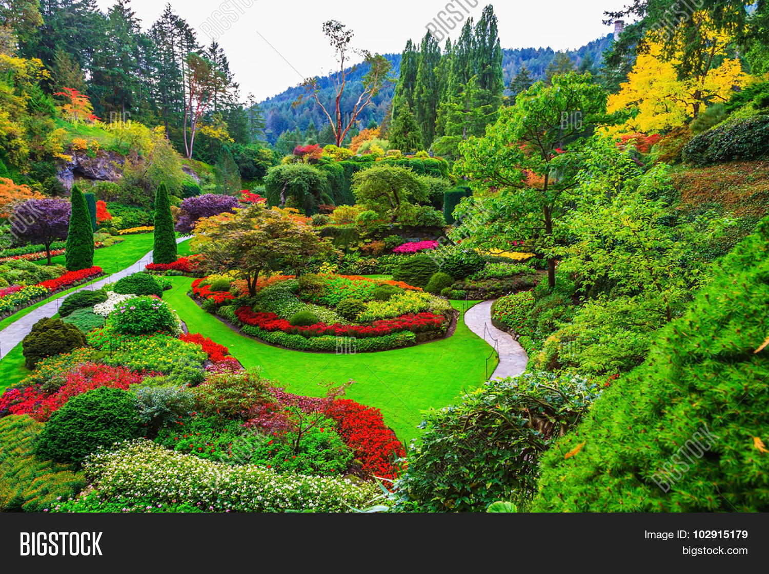 Butchart Gardens gardens on Vancouver Island. Flower beds of colorful