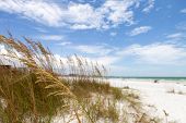 picture of beach  - Siesta Key Beach is located on the gulf coast of Sarasota Florida with powdery sand - JPG 