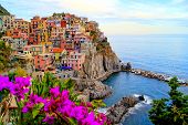 picture of holidays  - Village of Manarola - JPG 