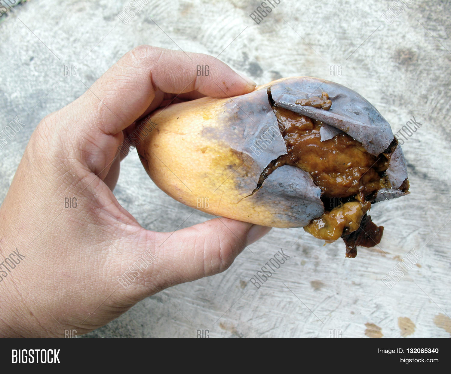 Hand Picking Rotten Mango, Rotten Image & Photo Bigstock