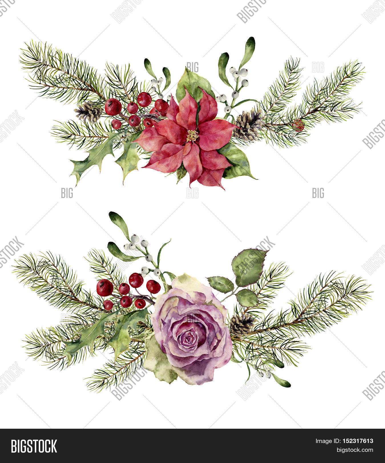 watercolor winter floral elements image photo bigstock watercolor winter floral elements image photo bigstock
