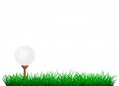 picture of golf  - golf ball in green grass - JPG 