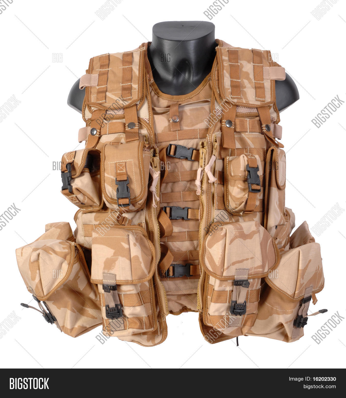 Vest, Tactical, Load Carrying. Image & Photo Bigstock