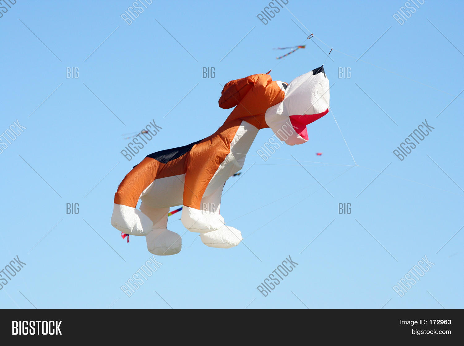 Dog Kite Stock Photo & Stock Images Bigstock