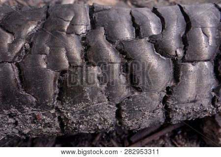 Poster: Burnt Wood Texture Close Up