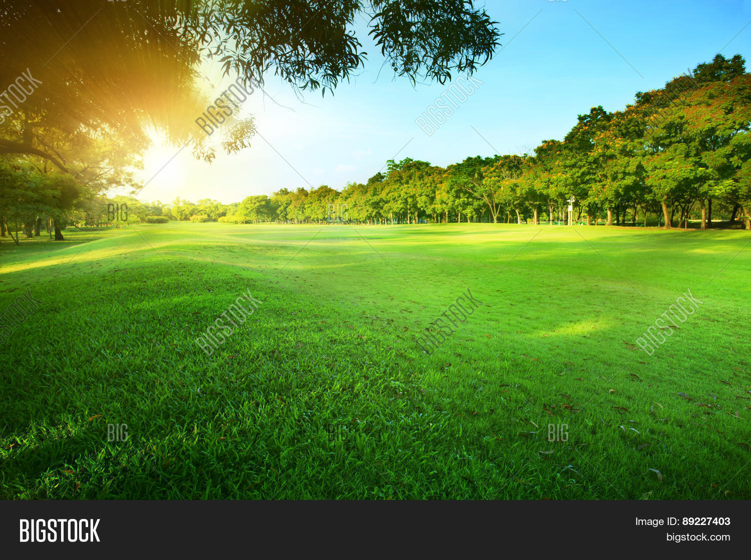 Beautiful Morning Sun Shining Light Image & Photo Bigstock