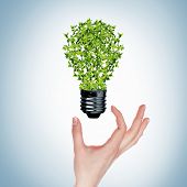 picture of future  - green bulb as symbol of sustainable energy and nature protection - JPG 