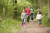 pic of family  - Families walking through springtime wood - JPG 