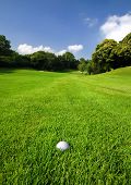 image of golf  - Golf ball in the rough in the middle of the golf course - JPG 