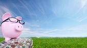 picture of finance  - Piggy bank with money - JPG 
