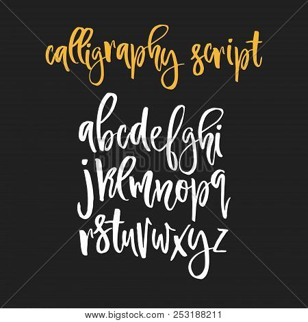 handdrawn calligraphic font latin alphabet drawn by hand vector calligraphic font