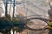 foto of bridge  - Old bridge in autumn misty park  - JPG 
