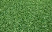 stock photo of golf  - Green grass background from a green golf course - JPG 