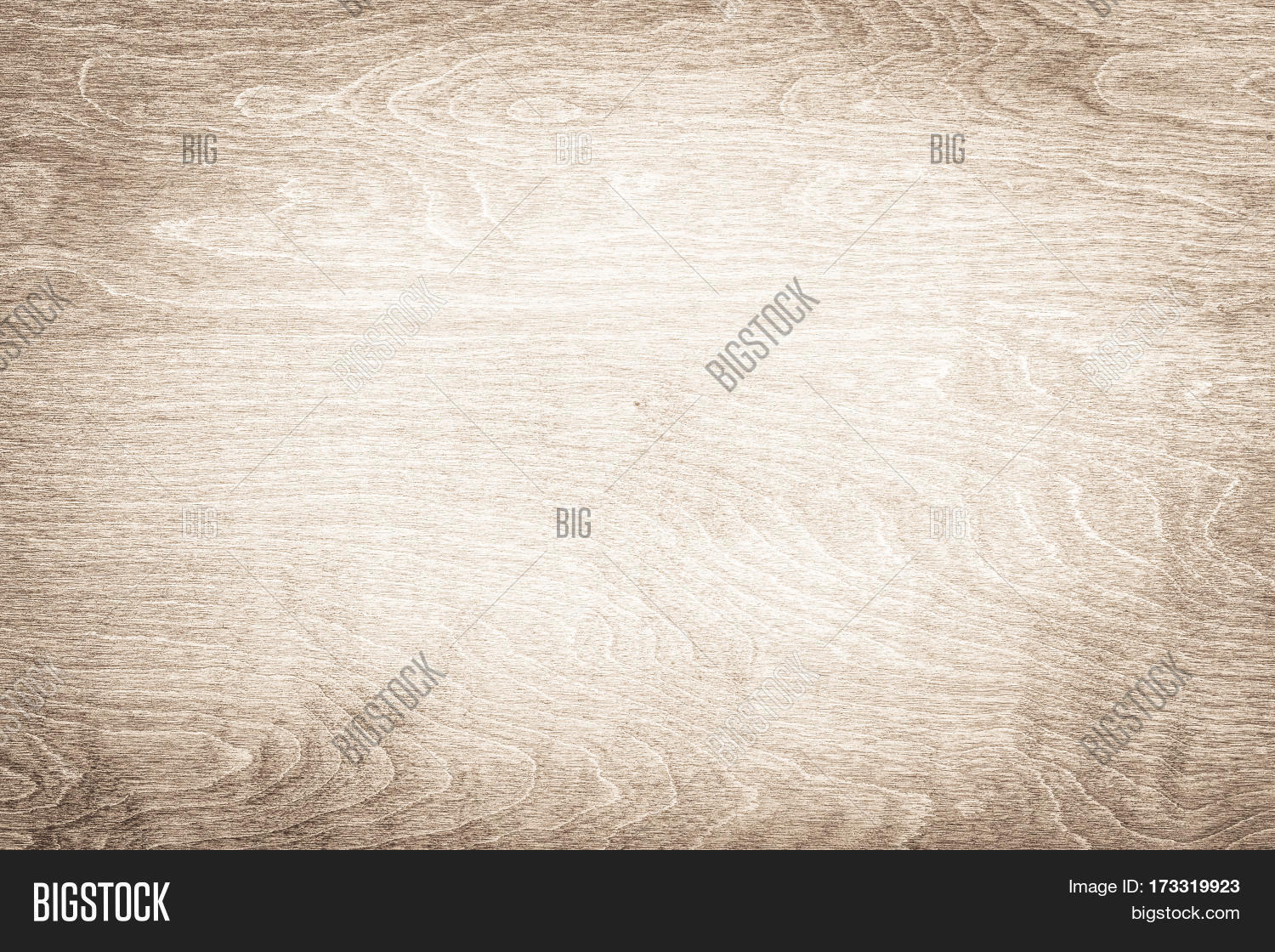 Light Wood Texture Light Wood Texture