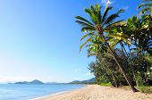 foto of beach  - Beautiful green palm trees at tropical beach Palm Cove in Queensland - JPG 
