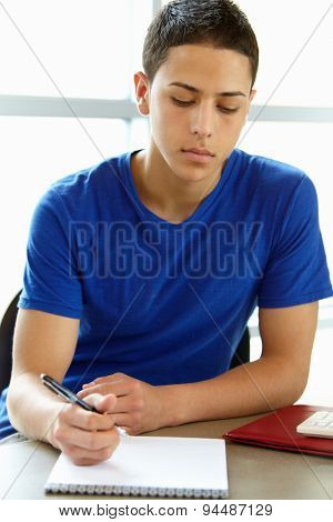 Sociology Homework Help Online